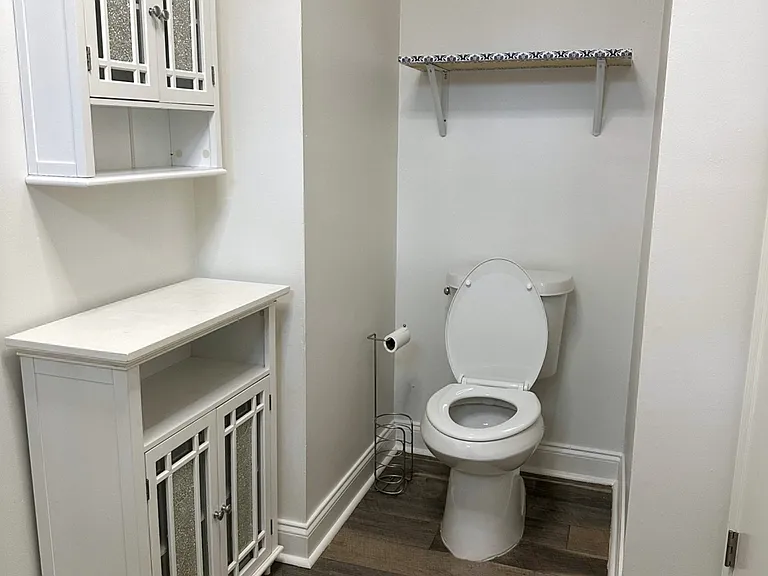 Primary Bathroom Toilet