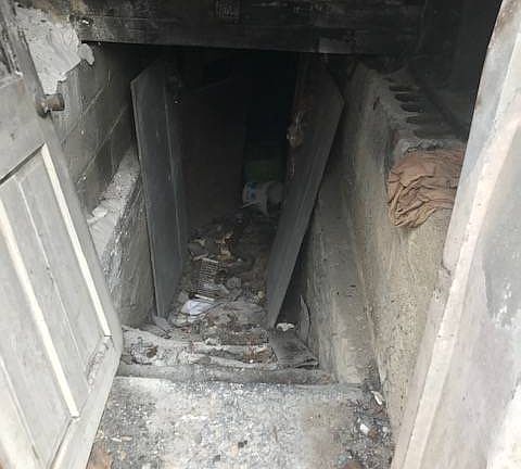 5th image of 1366 Central Ave