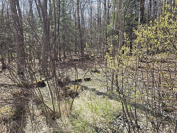 4th image of 360 Jacobs Ladder Rd