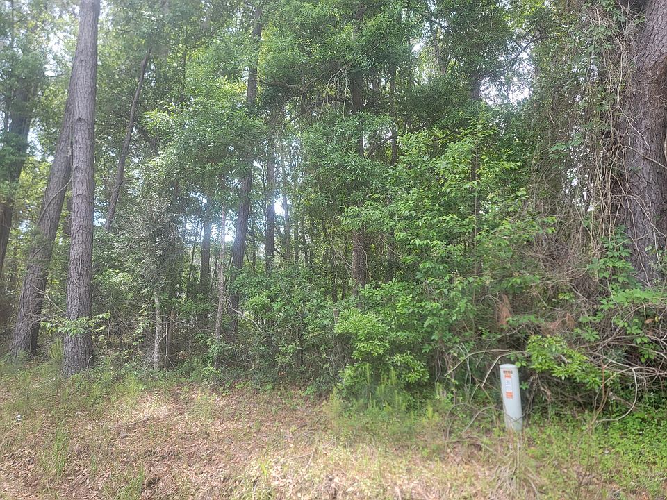 2nd image of 0 Red House Rd