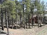 2374 W Cripple Creek Dr — Photo 8