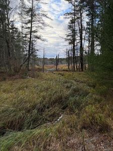 0 Puckyhuddle Road, Bethel, NY, 12720