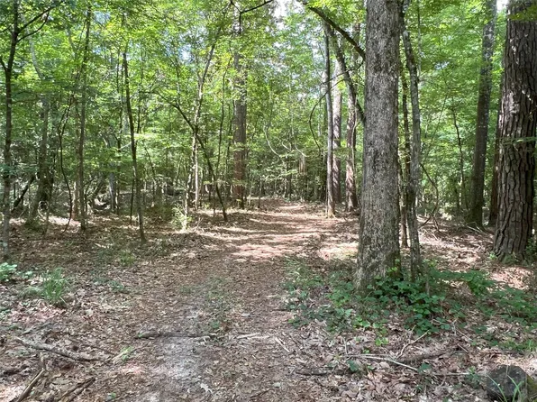 Upper Leggett Rd, Leggett, TX 77350