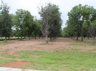 3173 E Landings Rd S, Granbury, TX 76049