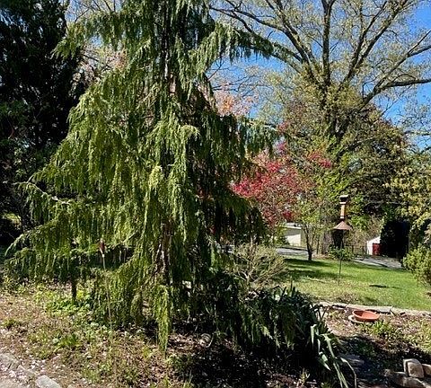 5th image of 23 Howe Ave