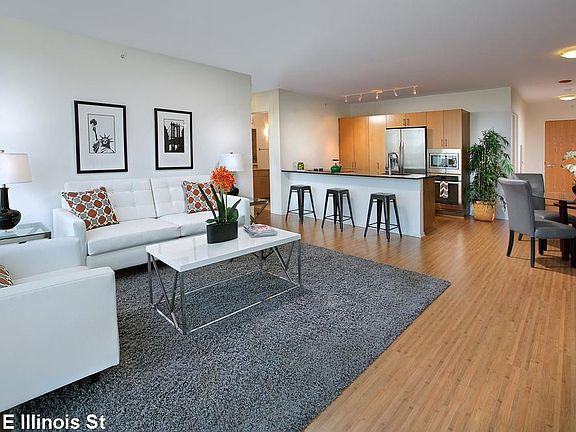 4th image of 202 E Illinois St #725