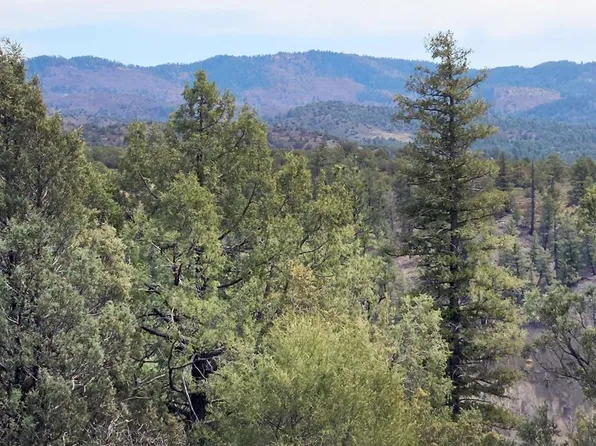 206 Alcazar Place, Pagosa Springs, CO 81147