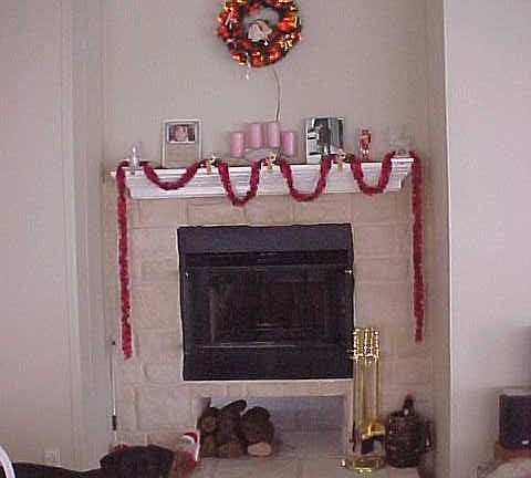 Living Room Fire Place