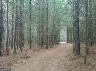 1110 Parker Rd, Sylvania, GA 30467