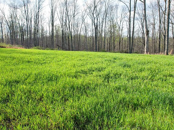 4th image of 0 Bell Hollow Rd