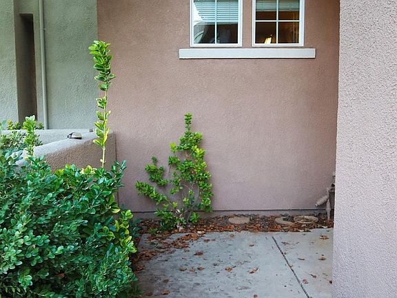 5th image of 1508 Dante Cir