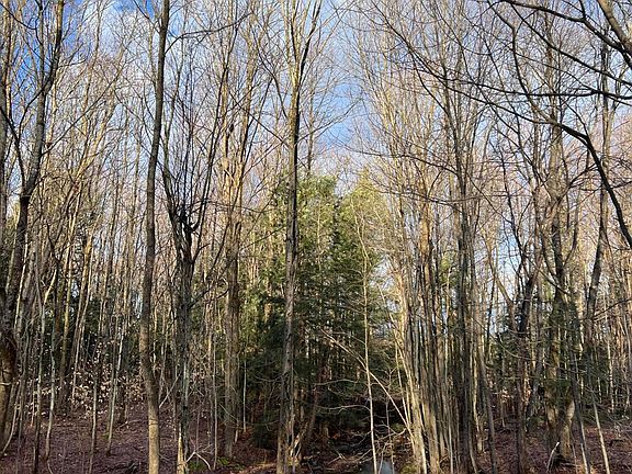 4th image of 1 Commons Rd