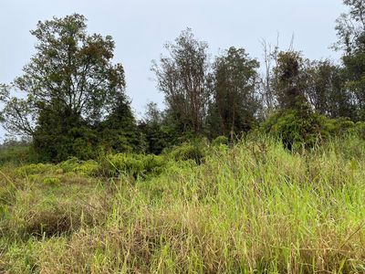 Hinuhinu St Lot 71, Volcano, HI, 96785