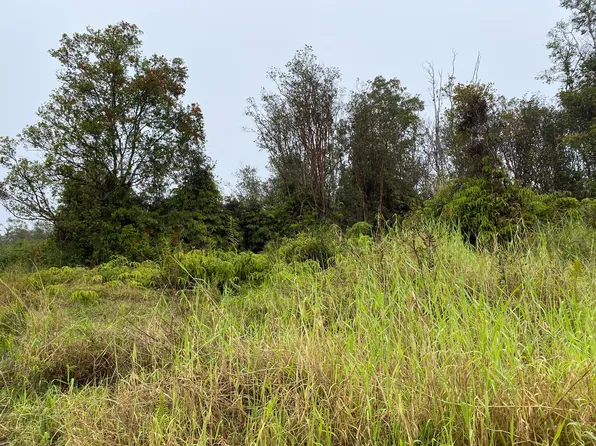 Hinuhinu St Lot 71, Volcano, HI 96785