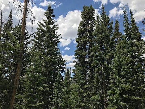 4th image of 576 E Park U Pine Walk