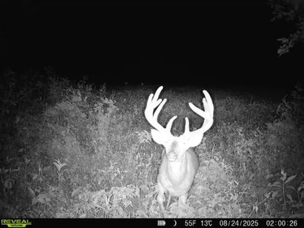 264 Highway B, Spickard, MO 64679