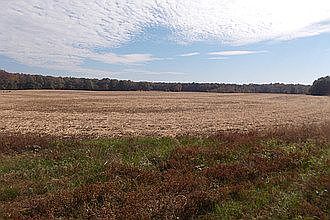 2nd image of North Huntsville