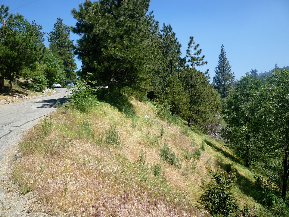 1st image of 22431 Briarwood Ln