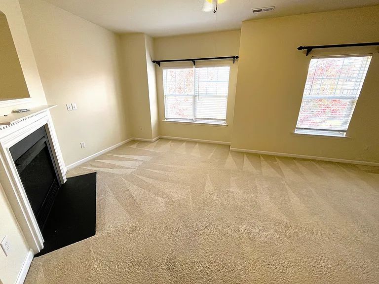 316 Linden Park Ln — Photo 4