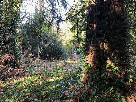 5th image of 41820 Mountain View Ln