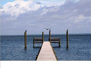 3rd image of 2027 Sand Dollar Trl