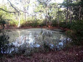 2nd image of 546 Sams Point Rd