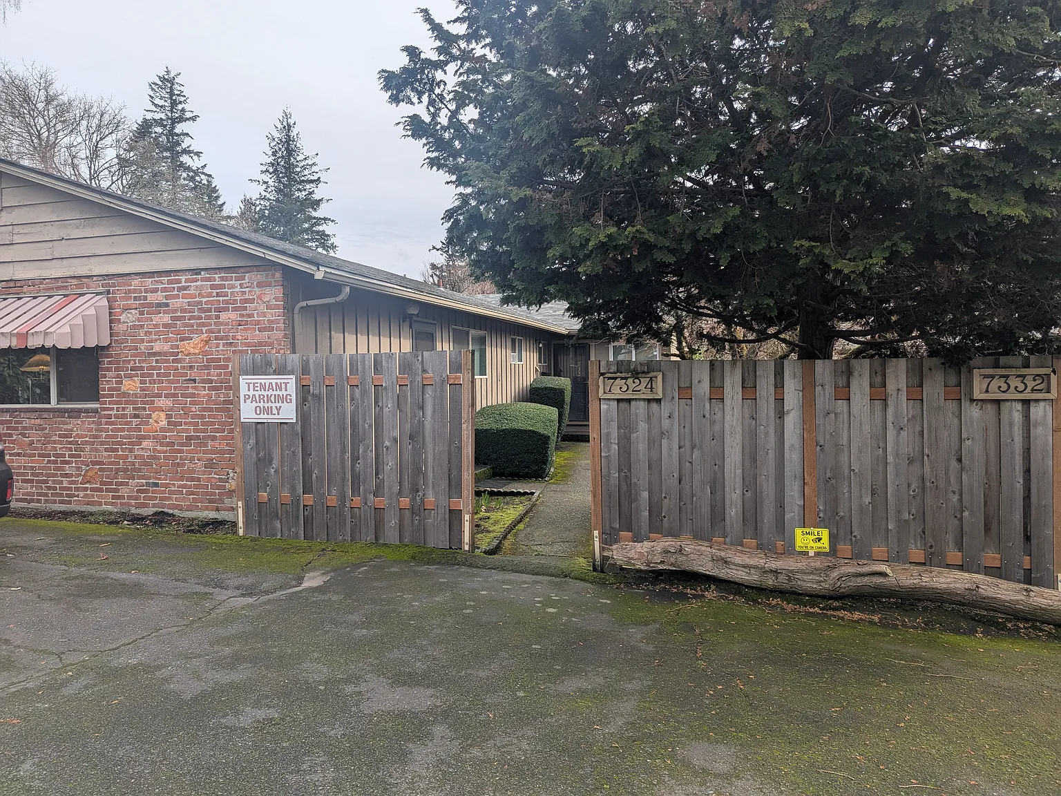 3 bed, 1100 sqft, $2,000 — Photo 3