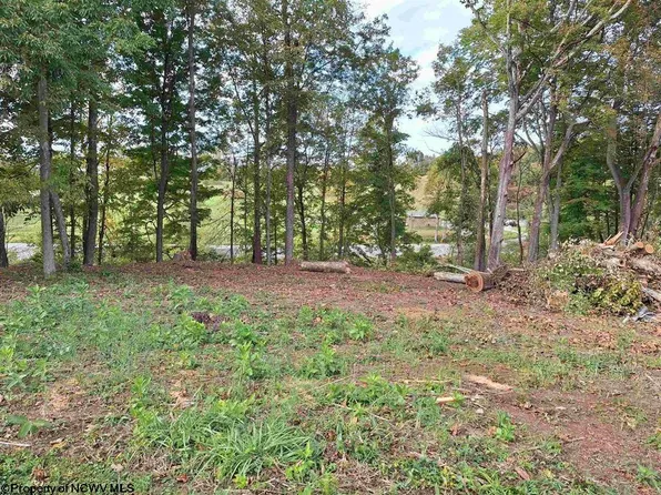 Bluebell Dr, Clarksburg, WV 26301