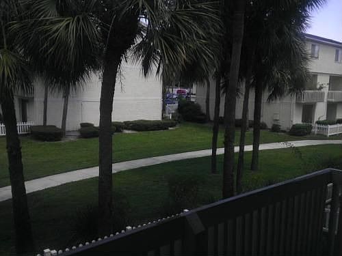 4th image of 7911 Sierra Palm Pl Unit 202