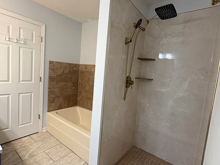 master bath walk-in shower and soaking tub