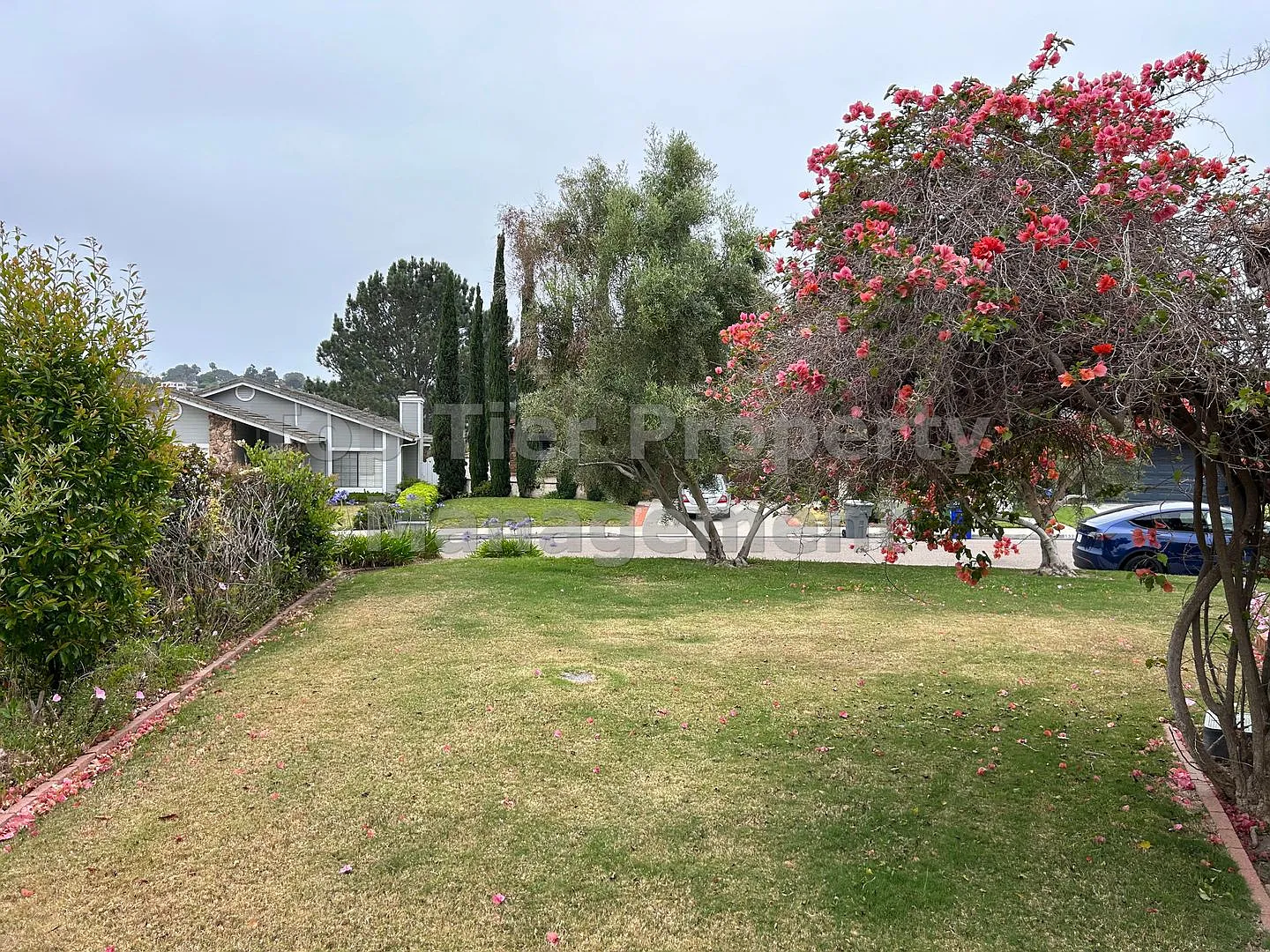 Remodeled House in Encinitas - 3 bed / 3 bath + Office/Den - Available 09/15 — Photo 3