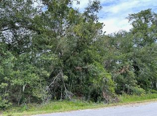 SE 94th Ter LOT 43, Summerfield, FL 34491