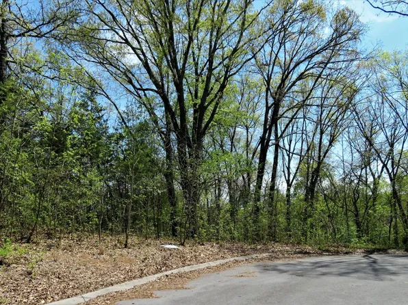 Big Buck Ln, Sevierville, TN 37876