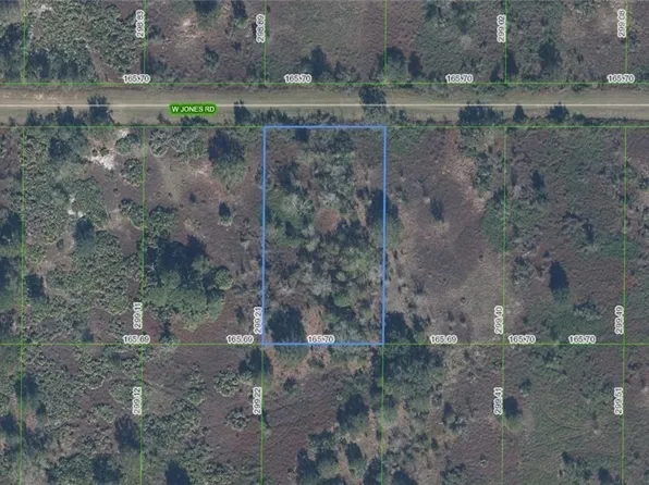 2419 W Jones Rd, Avon Park, FL 33825