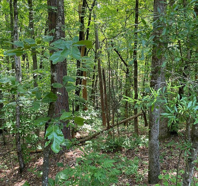 1st image of 0 Pine Dr