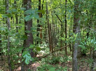 0 Pine Dr, Pine Mountain, GA 31822