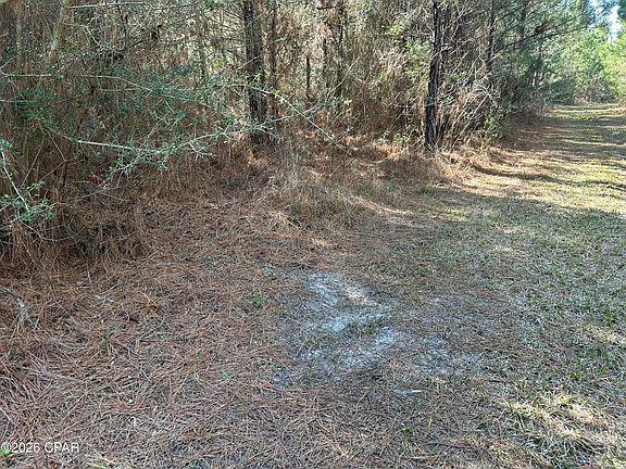 4th image of TRACT 6317 N Harris Stevenson Rd