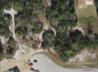 1252 Amazon Ln #11, Kissimmee, FL 34759