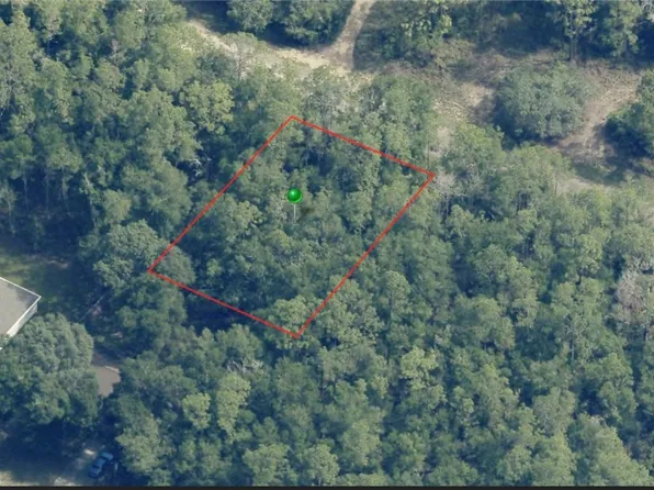 9024 N Dawn Way, Citrus Springs, FL 34434