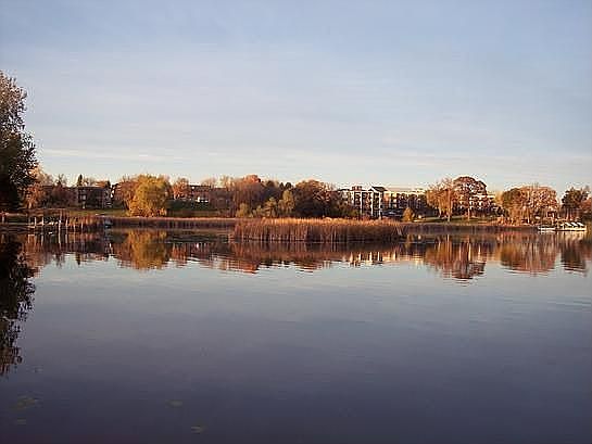 Lake View