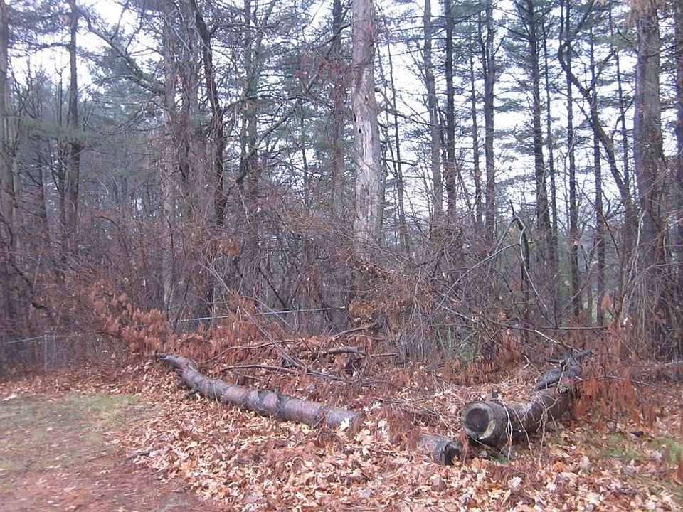 2nd image of 67 Ivy Cir