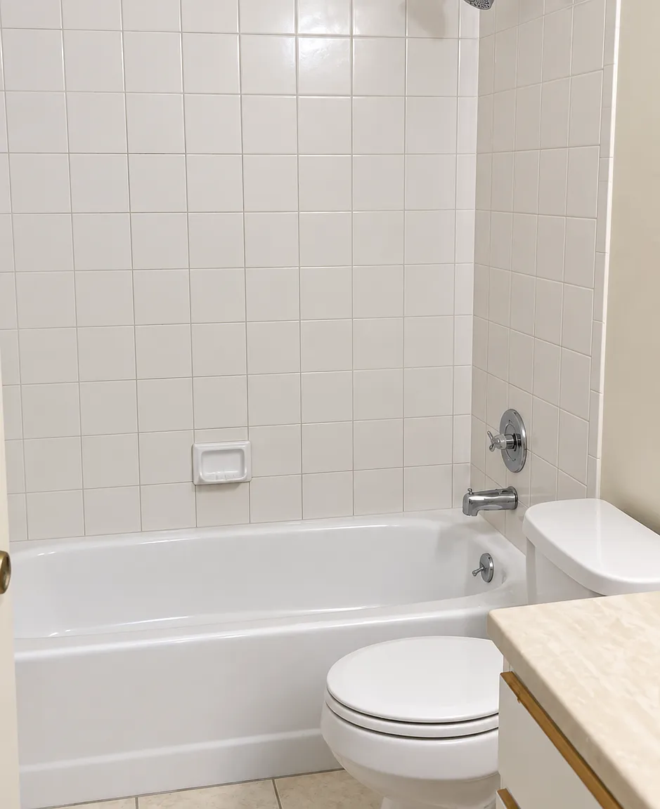 1 bed, 410 sqft, $875 — Photo 3