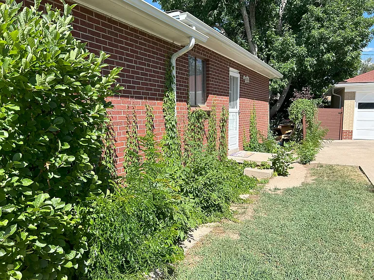 Side of house entrance