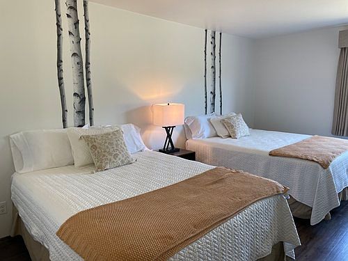 1st image of 164 White Pines Ave #217