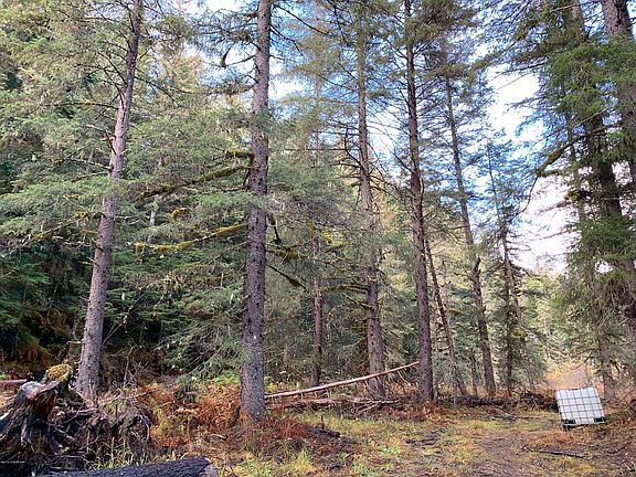 4th image of 10867 Wolf Trail Cir