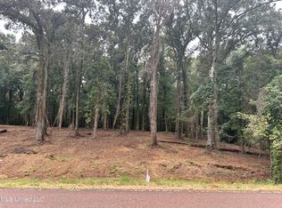 3 Fogg Rd #3, Nesbit, MS 38651