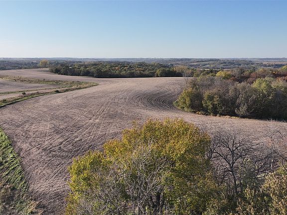 5th image of Wagon Rd