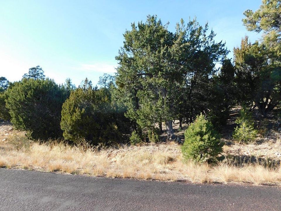 1st image of 1541 Rocky Top Dr