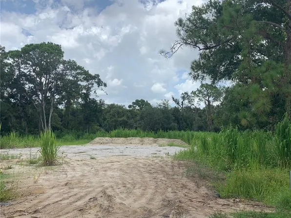 18601 Telegraph Creek LN, ALVA, FL 33920