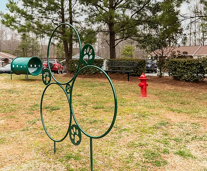 DSC_8028